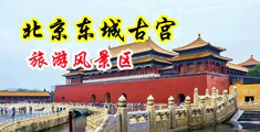 社长颜射女秘书福利导航中国北京-东城古宫旅游风景区